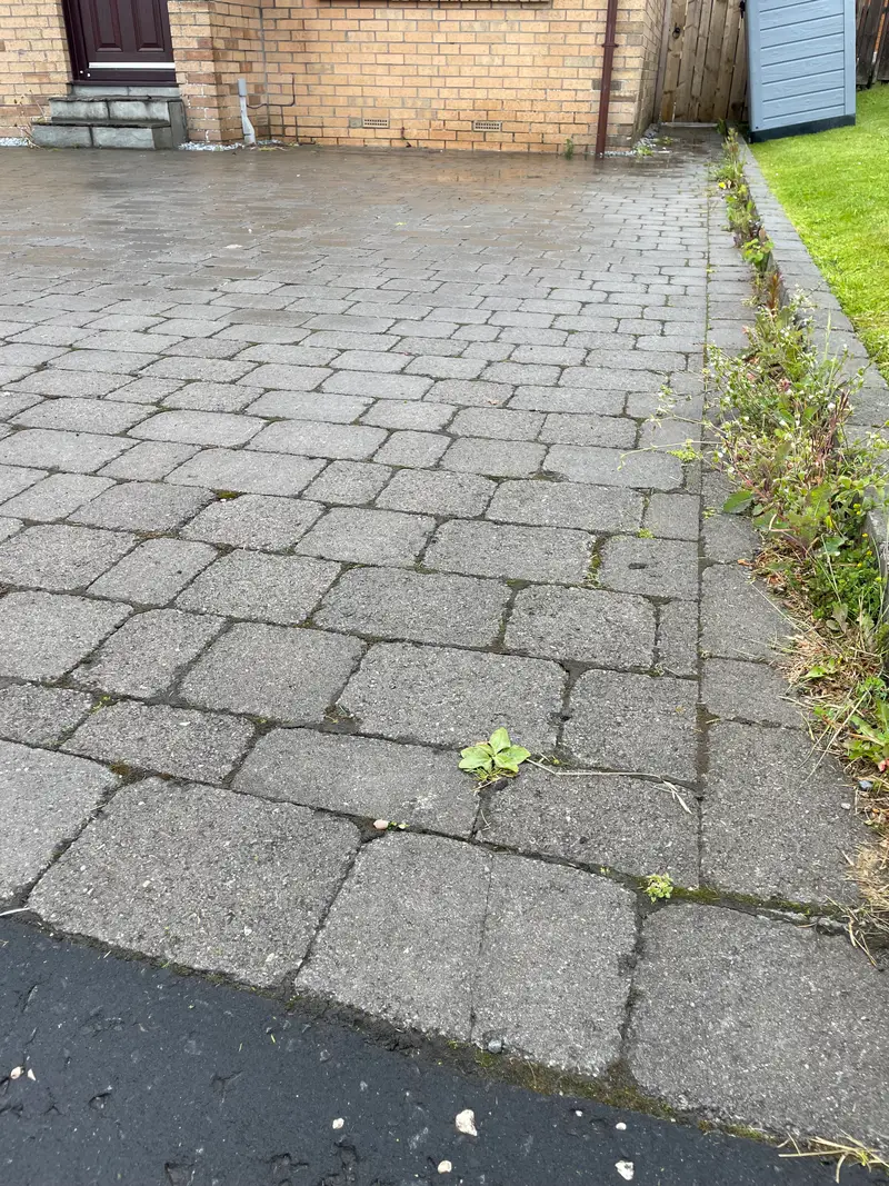 Block Paving Driveway — before cleaning