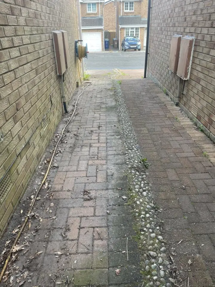 Narrow Alley Path — before cleaning
